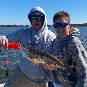 Meet your Posher, Brewer